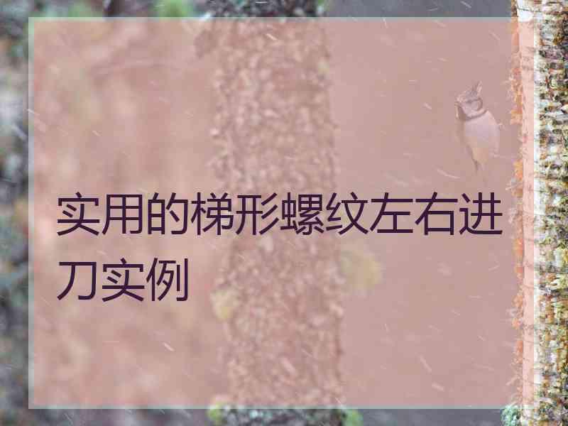 实用的梯形螺纹左右进刀实例