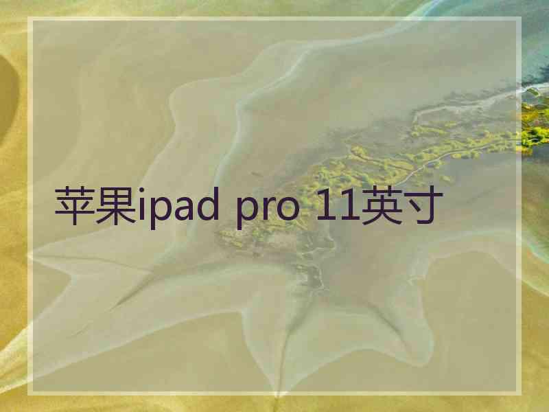 苹果ipad pro 11英寸