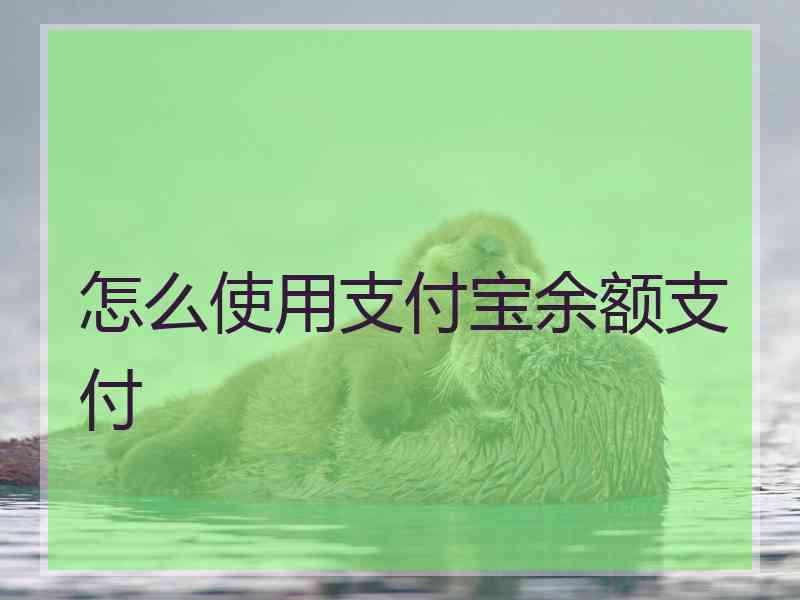 怎么使用支付宝余额支付