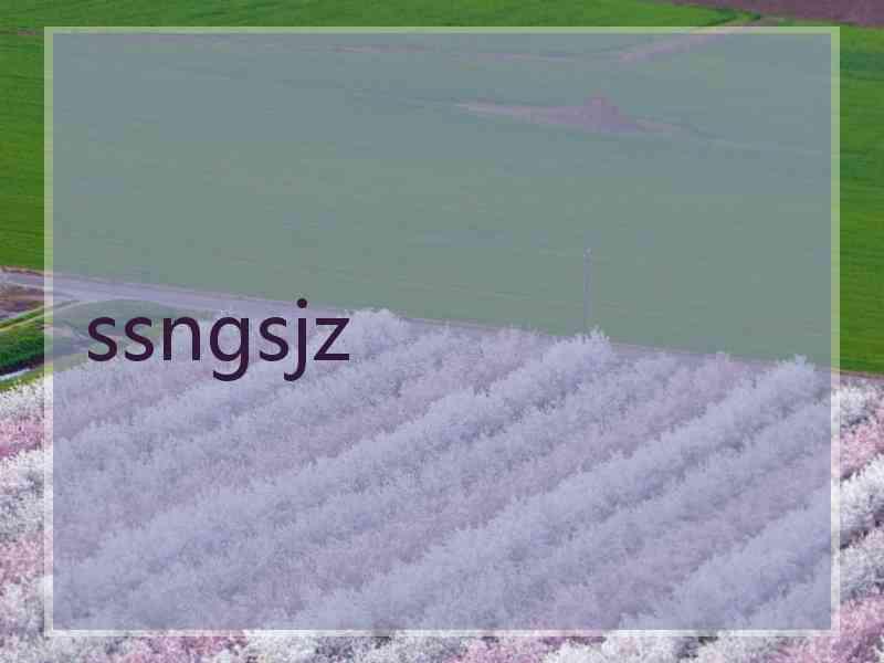 ssngsjz