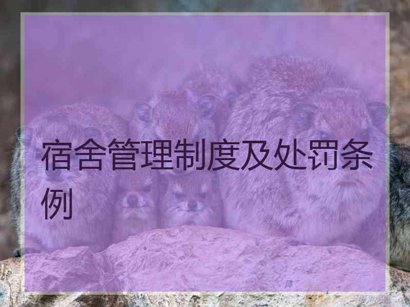 宿舍管理制度及处罚条例