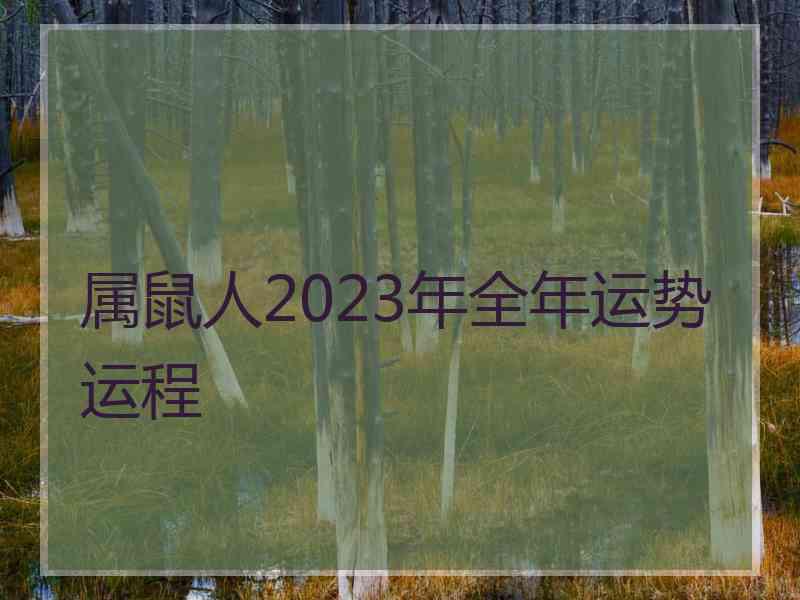 属鼠人2023年全年运势运程
