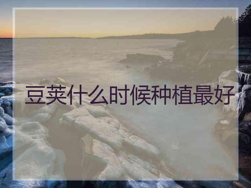 豆荚什么时候种植最好