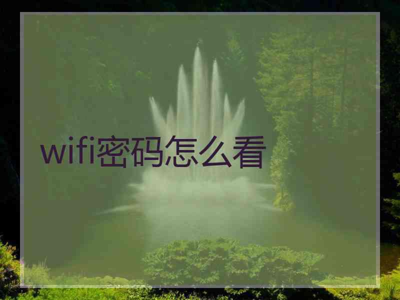 wifi密码怎么看