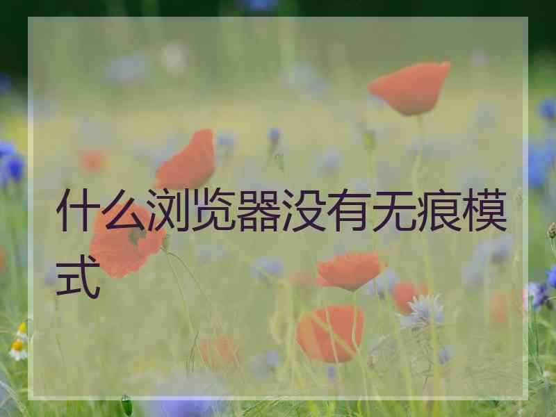 什么浏览器没有无痕模式