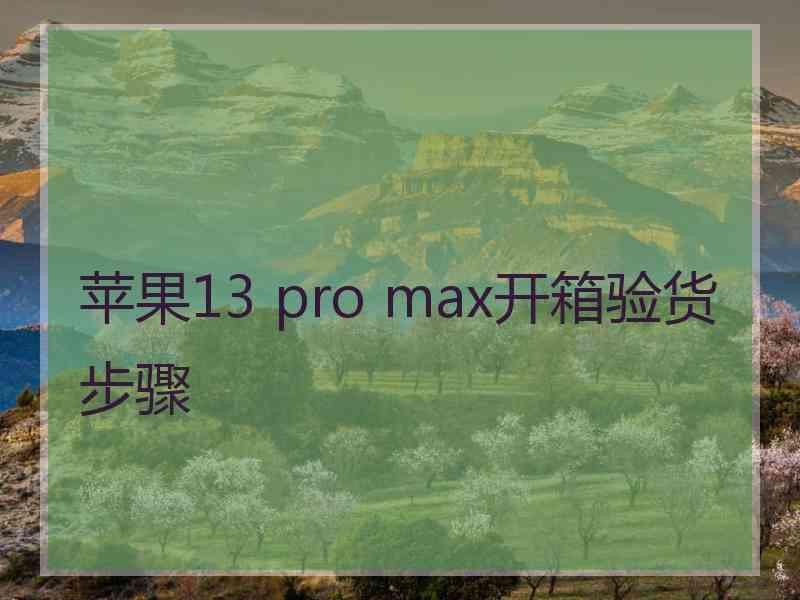 苹果13 pro max开箱验货步骤