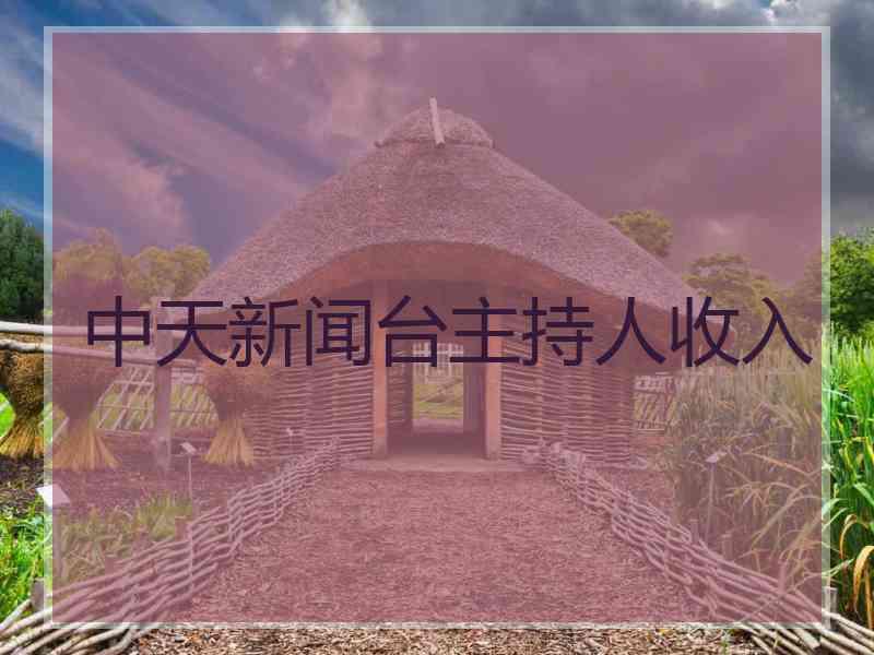 中天新闻台主持人收入