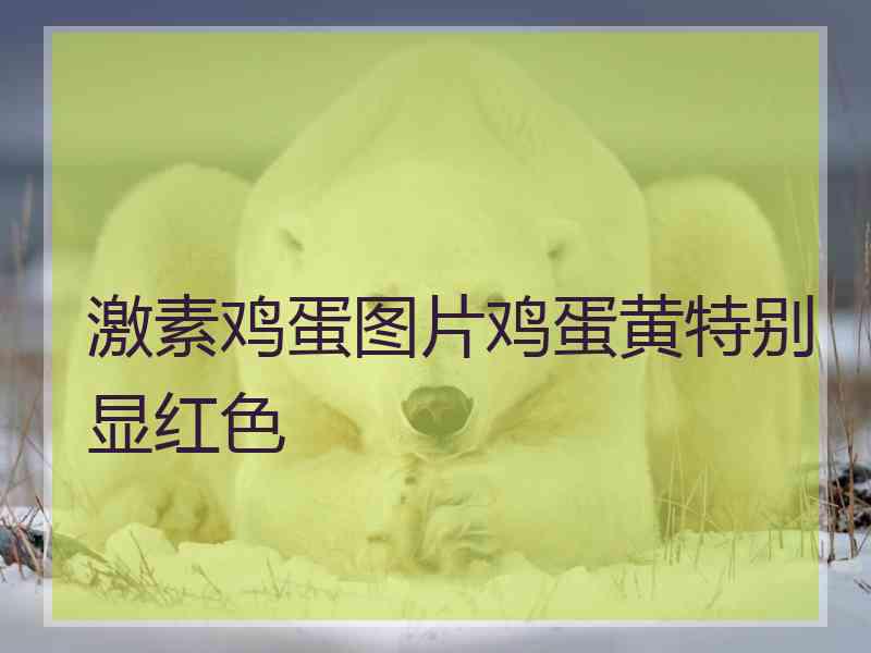 激素鸡蛋图片鸡蛋黄特别显红色