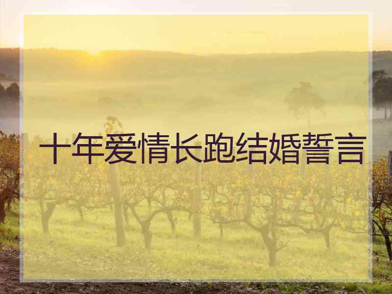 十年爱情长跑结婚誓言