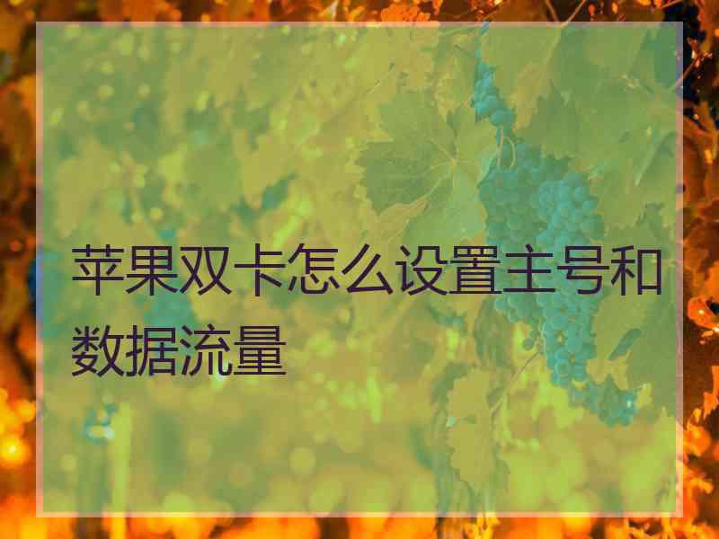 苹果双卡怎么设置主号和数据流量