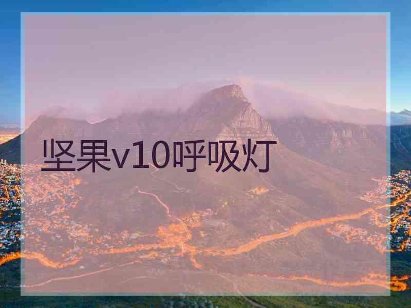 坚果v10呼吸灯