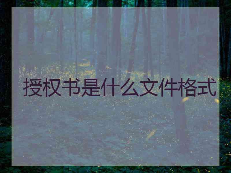 授权书是什么文件格式