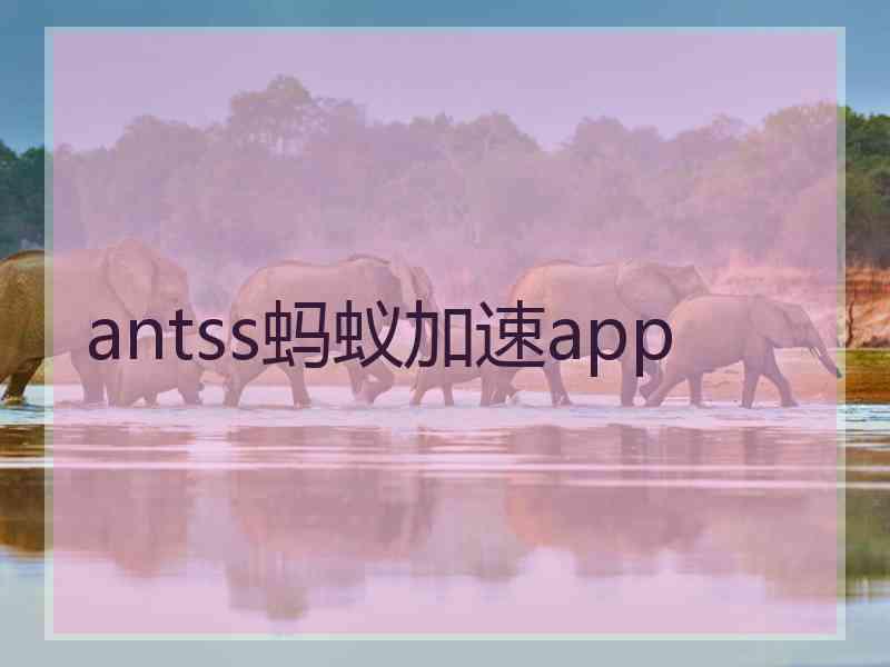 antss蚂蚁加速app