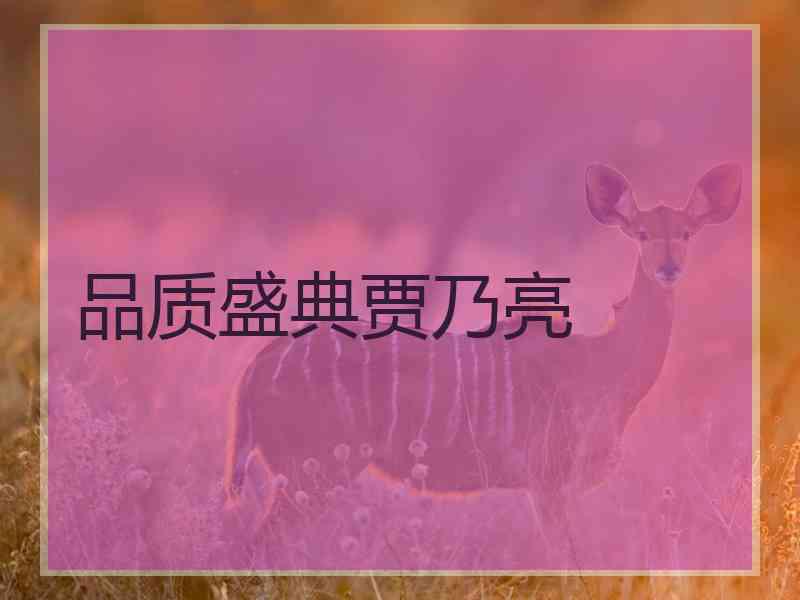 品质盛典贾乃亮