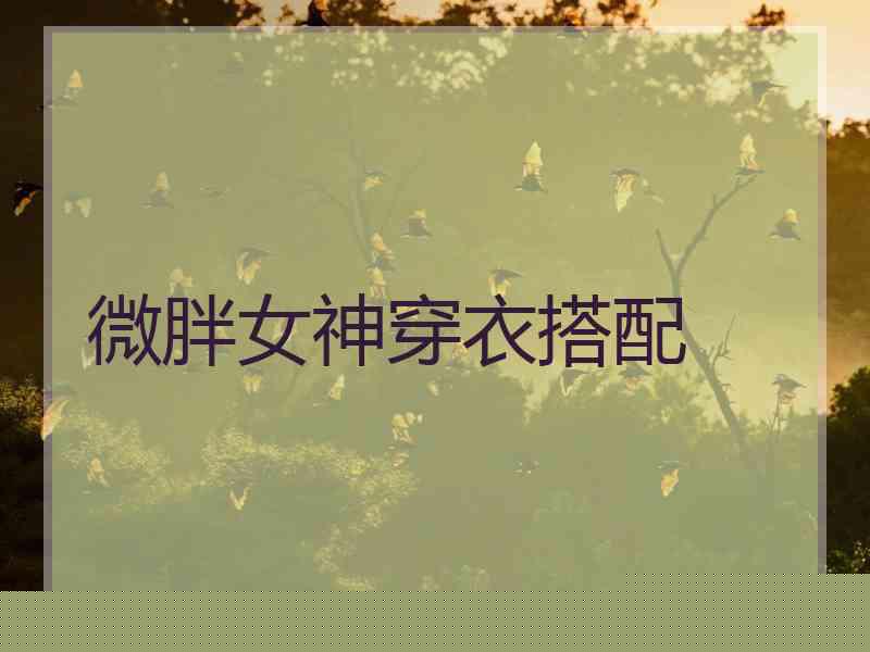 微胖女神穿衣搭配