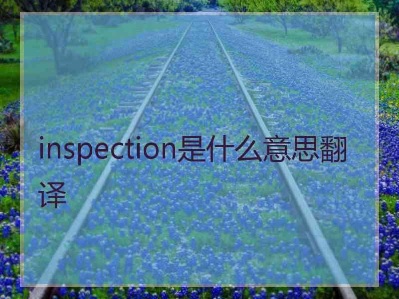 inspection是什么意思翻译