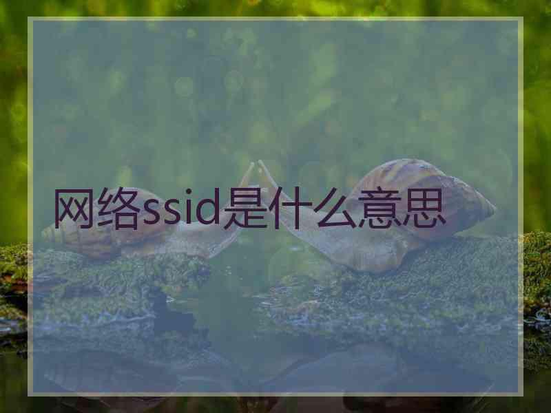 网络ssid是什么意思