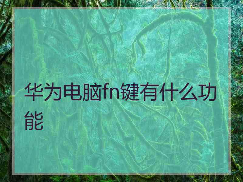 华为电脑fn键有什么功能