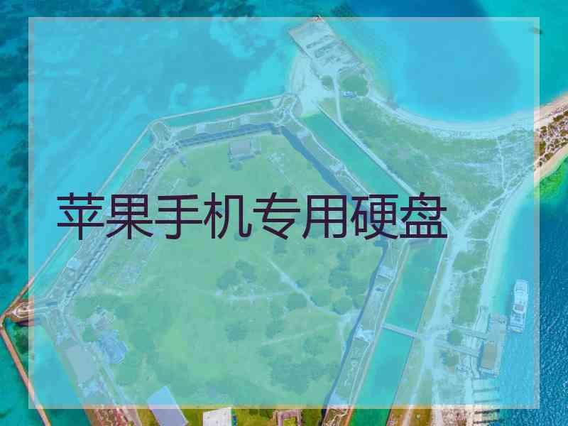 苹果手机专用硬盘