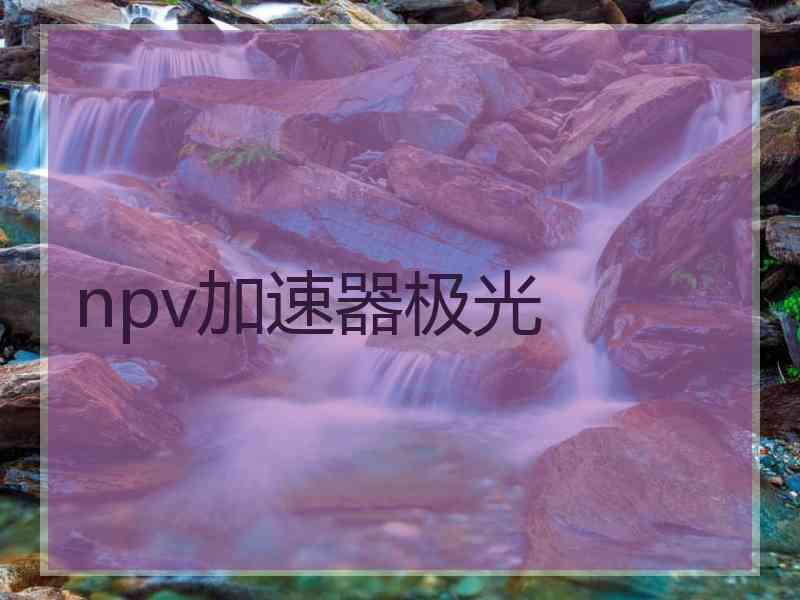 npv加速器极光