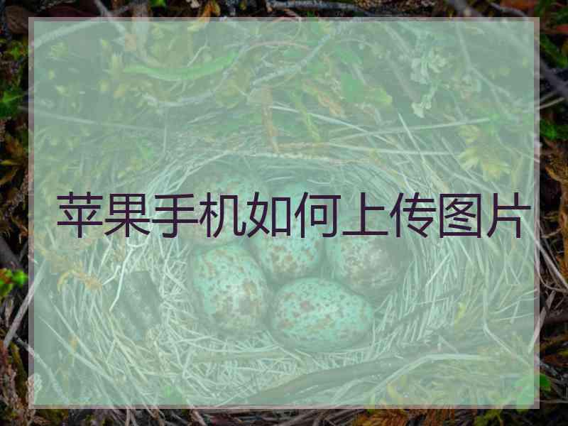苹果手机如何上传图片