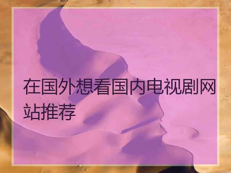 在国外想看国内电视剧网站推荐