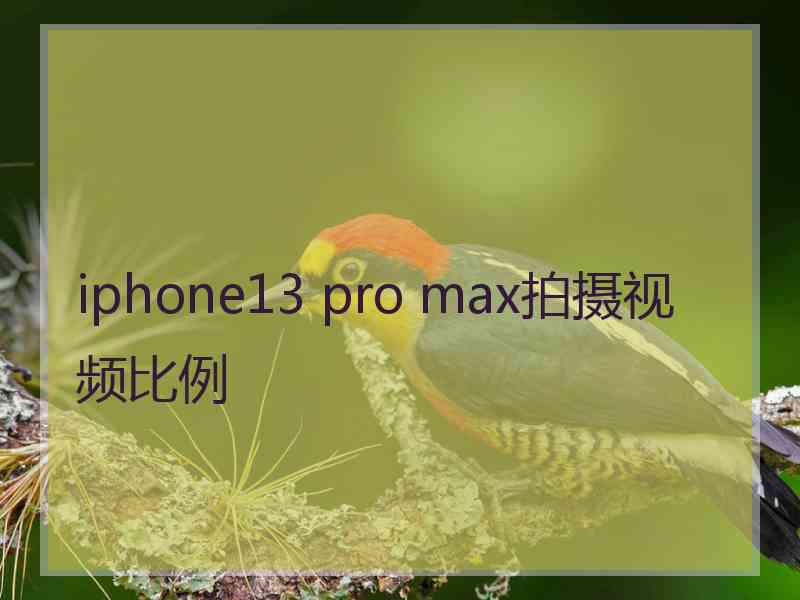 iphone13 pro max拍摄视频比例
