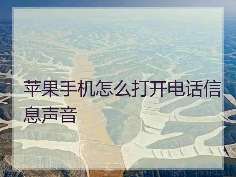 苹果手机怎么打开电话信息声音