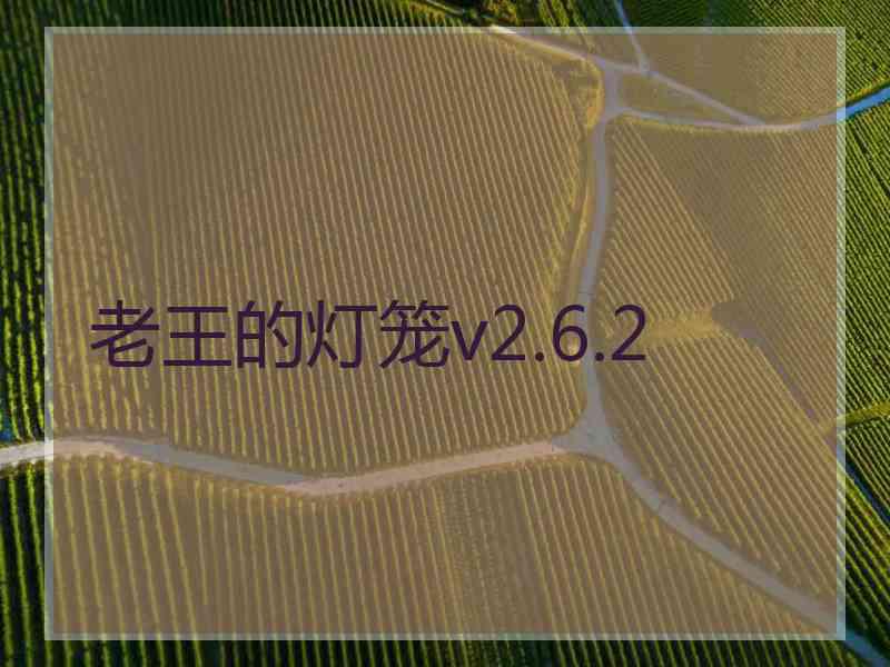 老王的灯笼v2.6.2