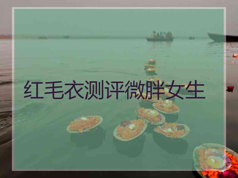 红毛衣测评微胖女生
