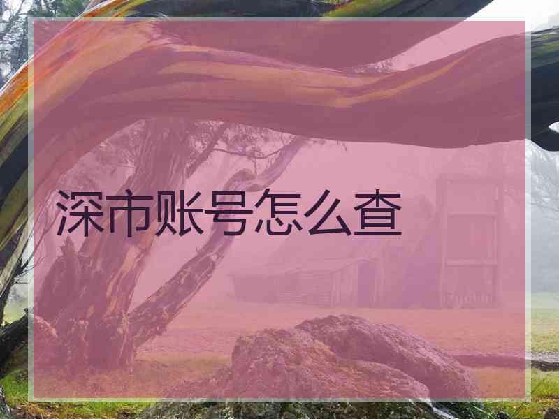 深市账号怎么查