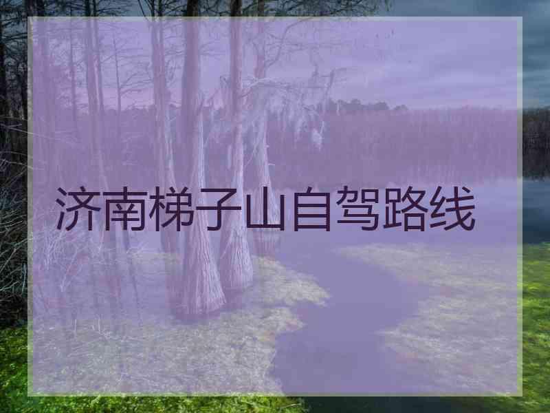 济南梯子山自驾路线