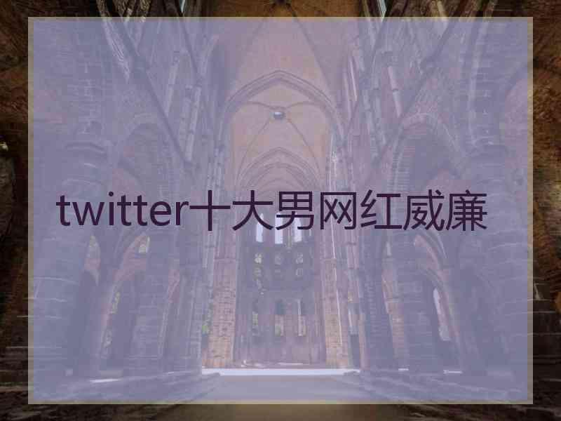 twitter十大男网红威廉