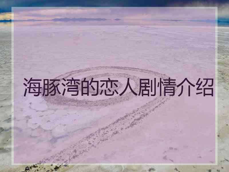 海豚湾的恋人剧情介绍