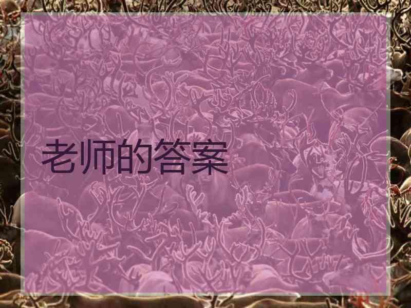老师的答案