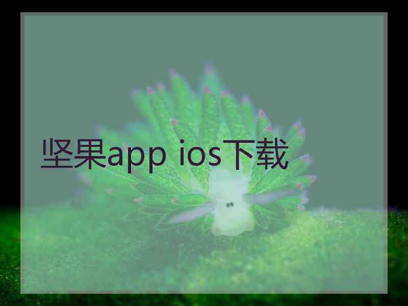 坚果app ios下载