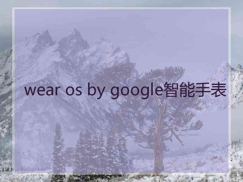 wear os by google智能手表