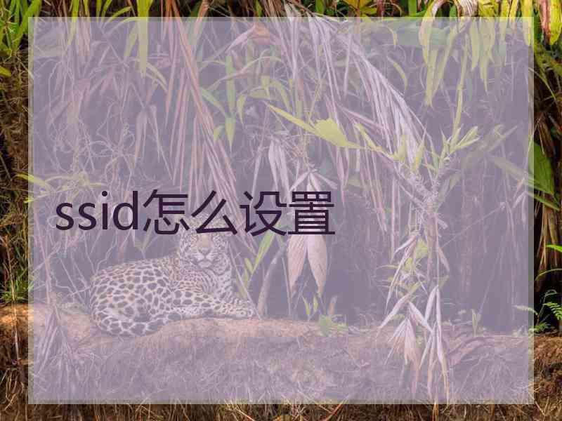 ssid怎么设置