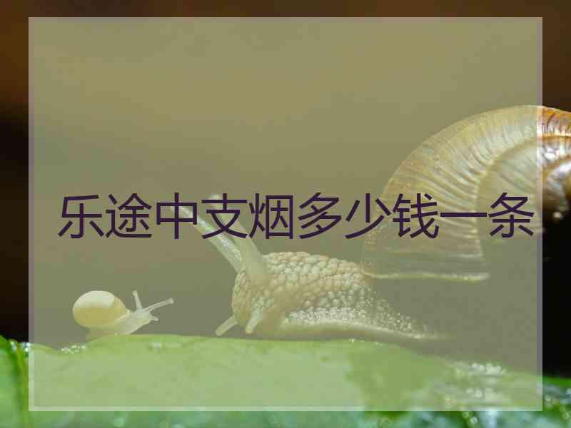 乐途中支烟多少钱一条