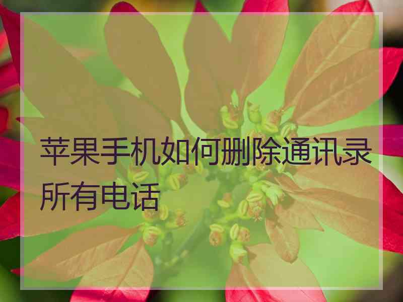苹果手机如何删除通讯录所有电话