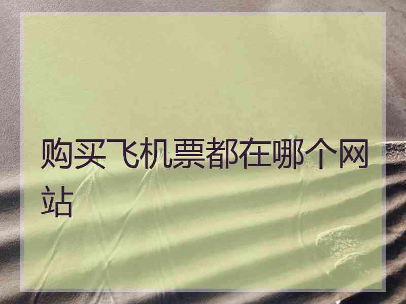 购买飞机票都在哪个网站
