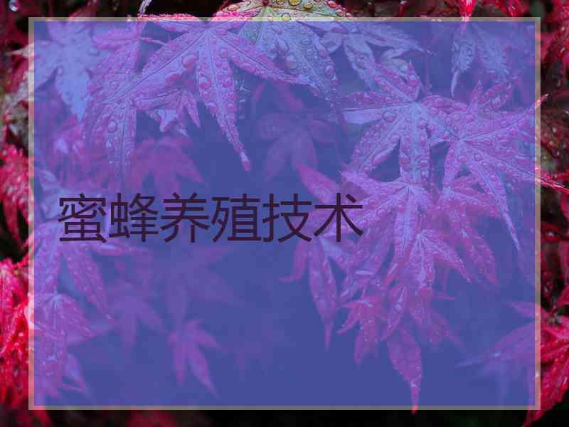 蜜蜂养殖技术