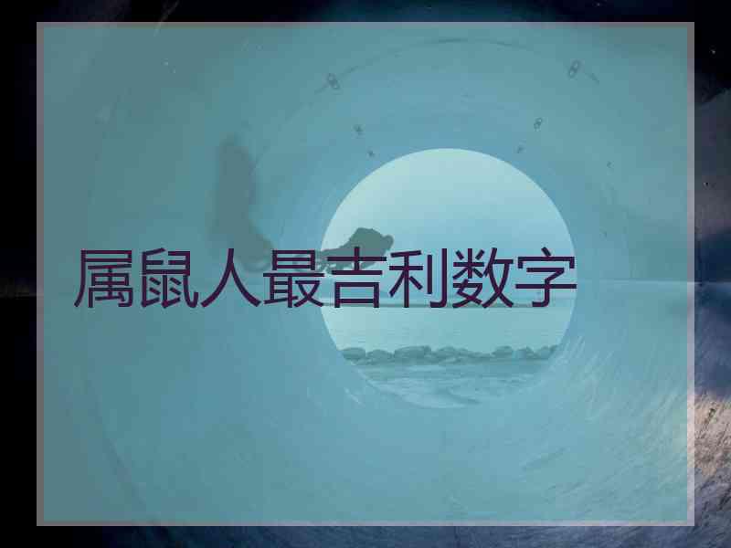 属鼠人最吉利数字