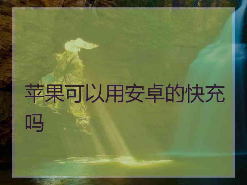苹果可以用安卓的快充吗