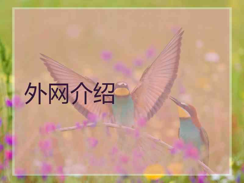 外网介绍