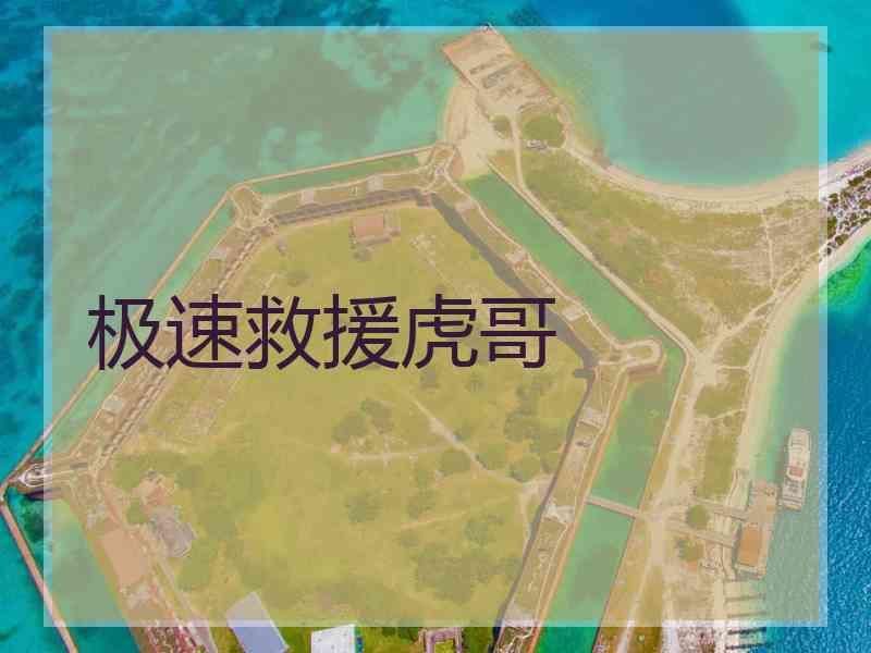 极速救援虎哥