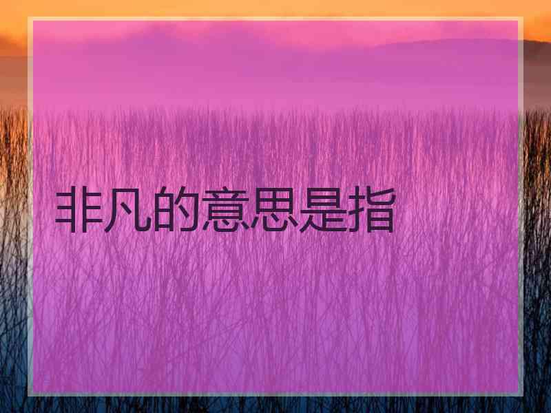 非凡的意思是指