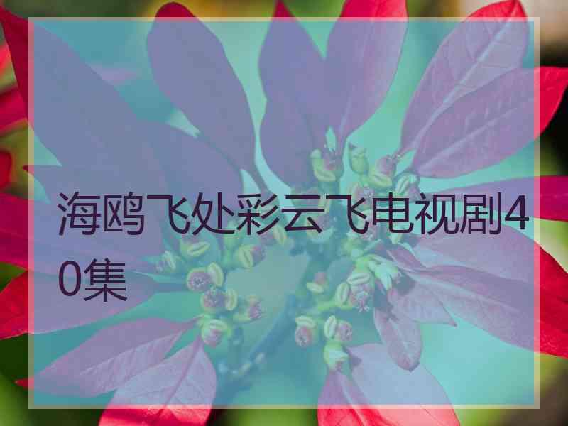 海鸥飞处彩云飞电视剧40集