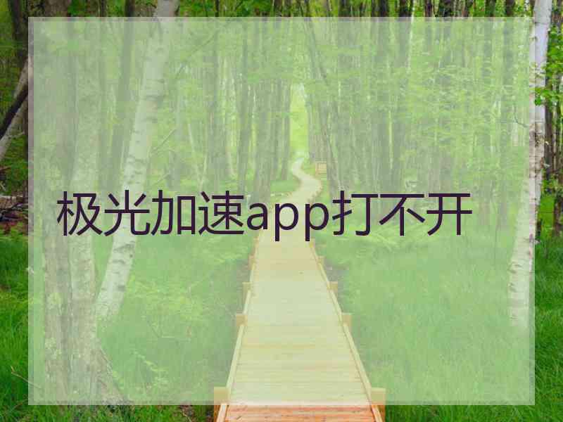 极光加速app打不开