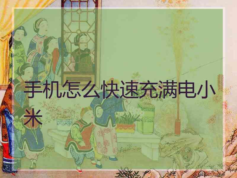 手机怎么快速充满电小米